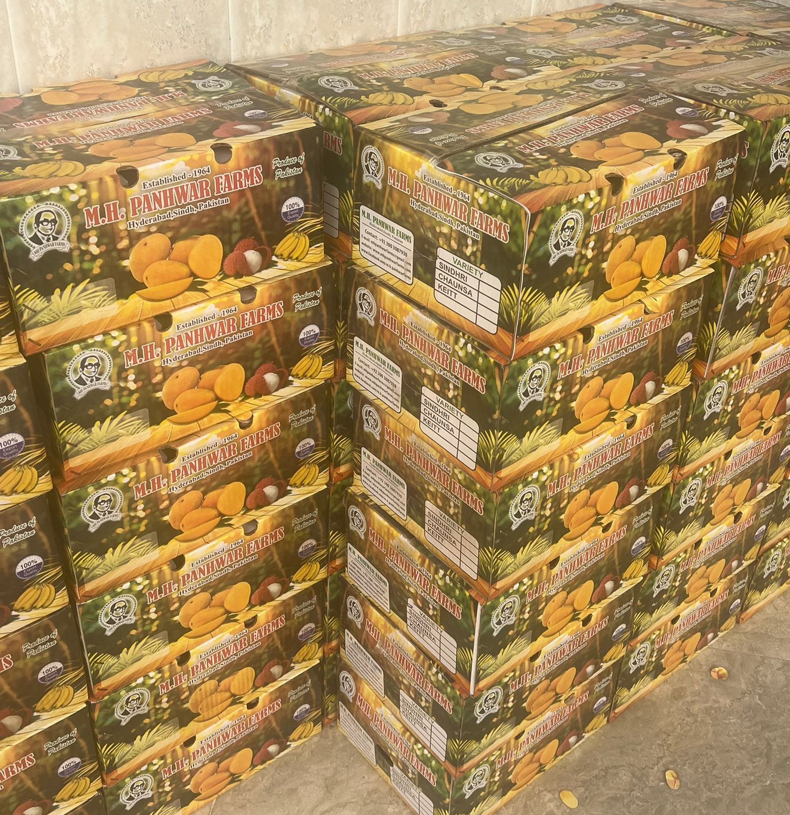 Mango Gift Box - Sindhri - Image 4