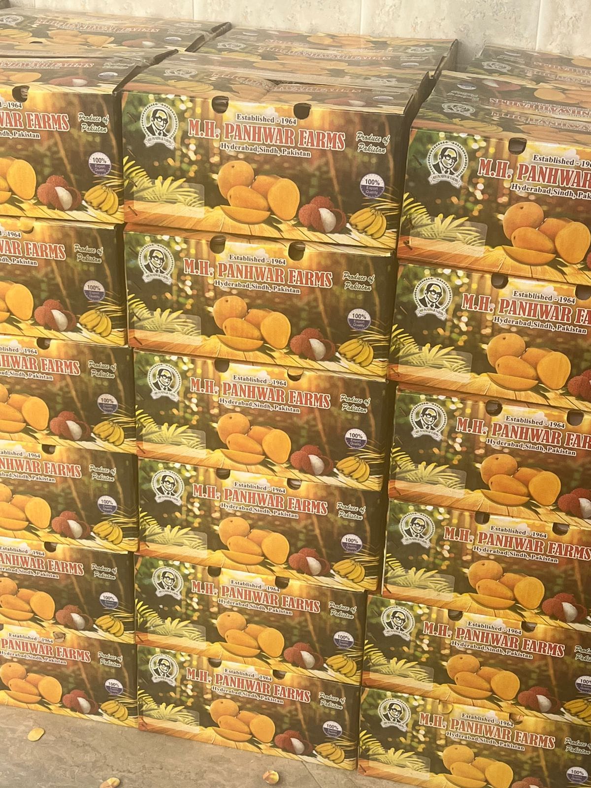 Mango Gift Box - Sindhri - Image 2